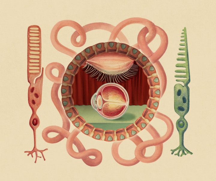 Gallery of Illustration by Ada Zejun Shen - USA
