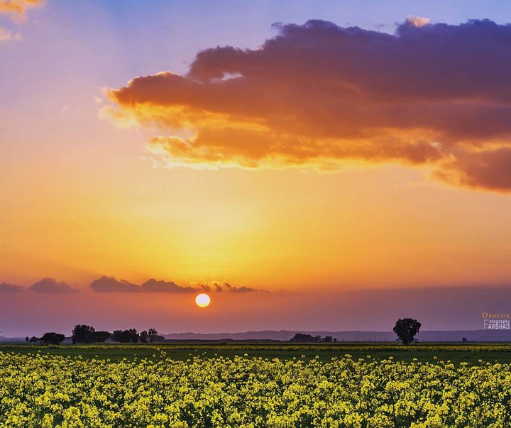 Gallery of photography by Farshad Sorkhi-Iran