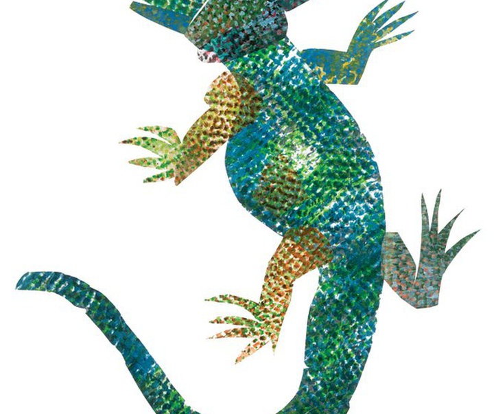 gallery of Illustrations by Eric Carle from USA