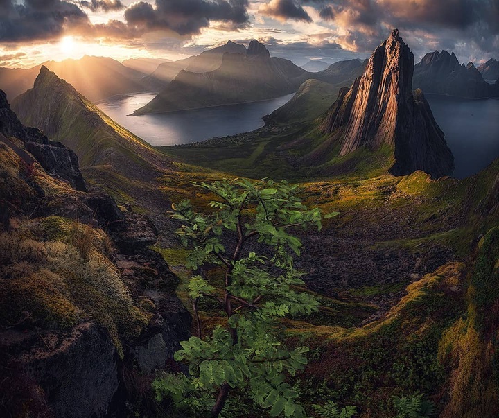 Gallery of Photography by Max Rive - Netherlands