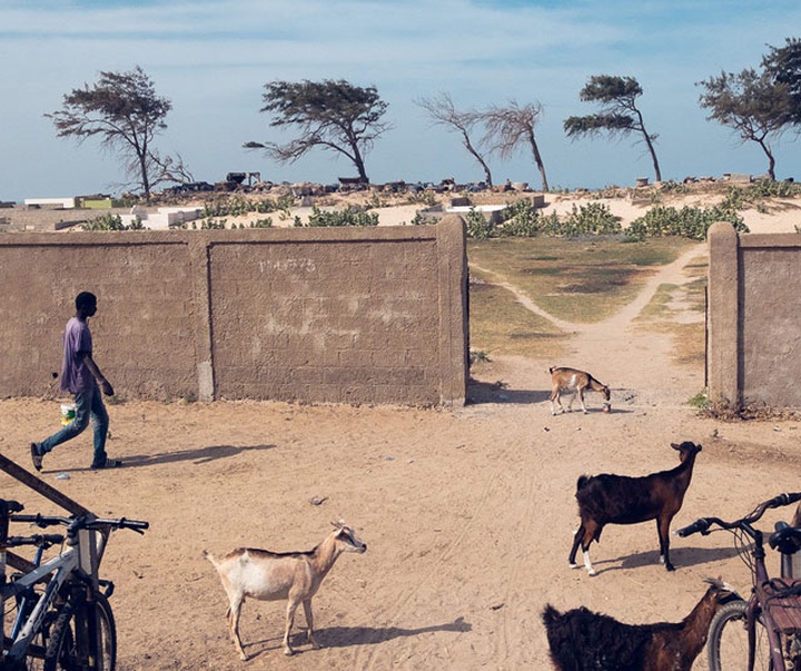 Gallery of photography by Skander Khalif-Tunisia