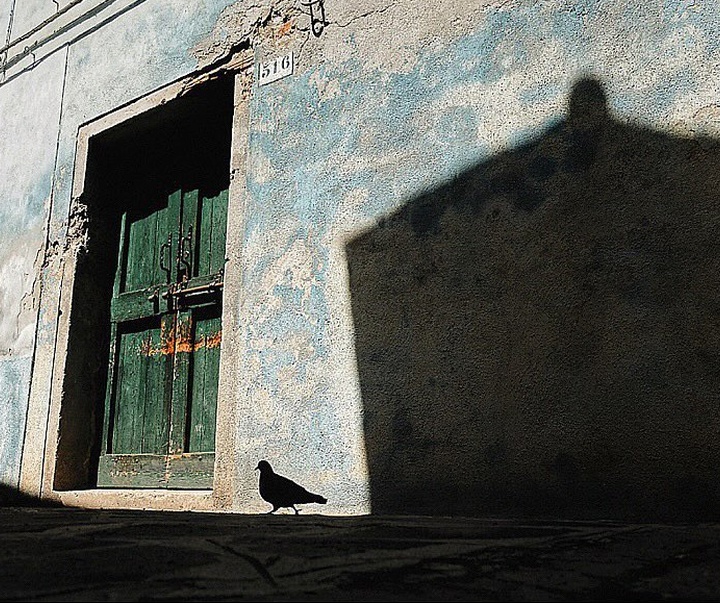 Gallery of Photography by Mirko Saviane - Italy