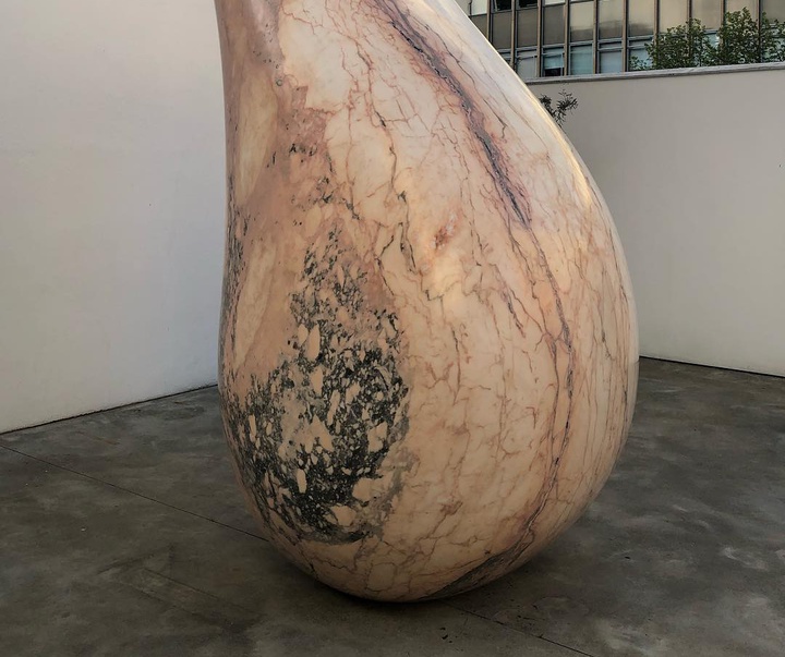 Gallery of Sculpture by Anish Kapoor - India