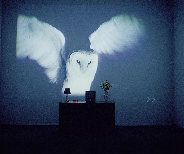 Gallery of Modern Art (Video Art) by Bill Viola - USA