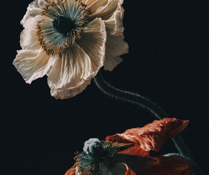 Gallery of Photography by Joe Clarke - UK