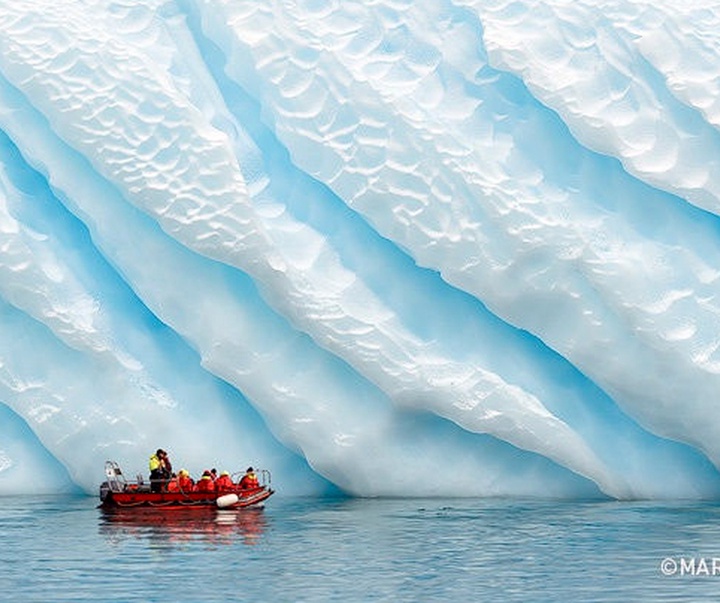 Gallery of Photography by Marsel van Oosten- Netherlands