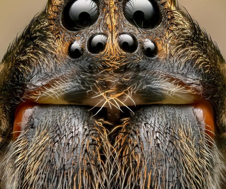 Gallery of Photography by Ben Salb - USA