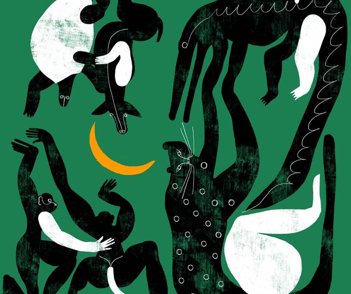 Gallery of Illustrations by amanda mijangos - Mexico