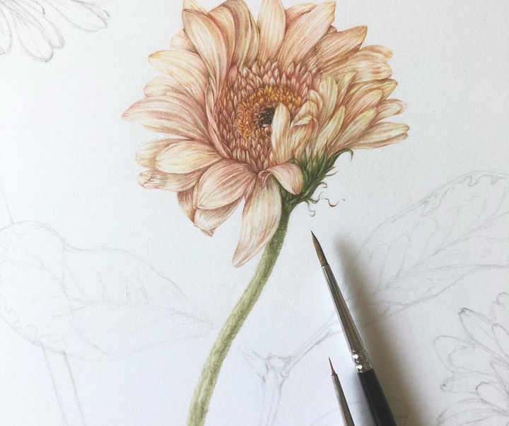 Gallery of Drawing by GiacoMina Ferrillo-Italy