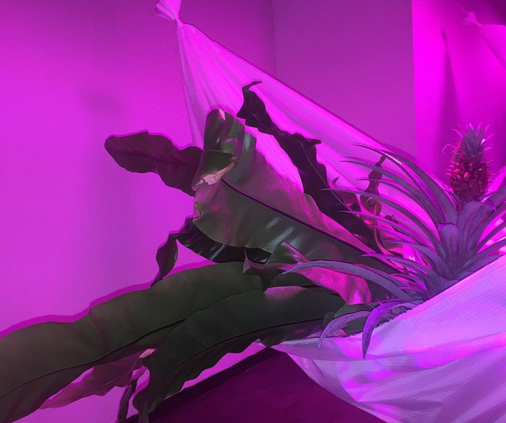 Gallery of Modern Art by Adrien Missika - France