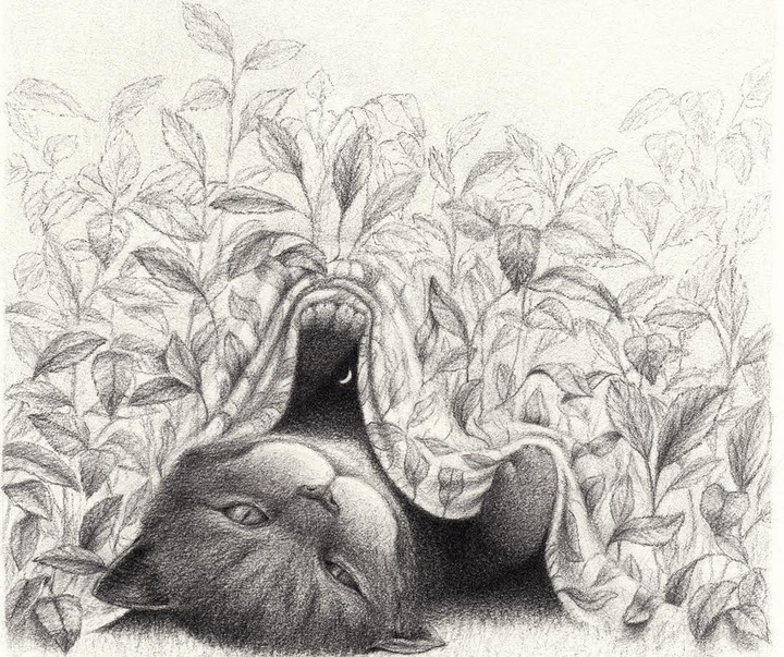 Gallery of Illustration by David Álvarez - Mexico