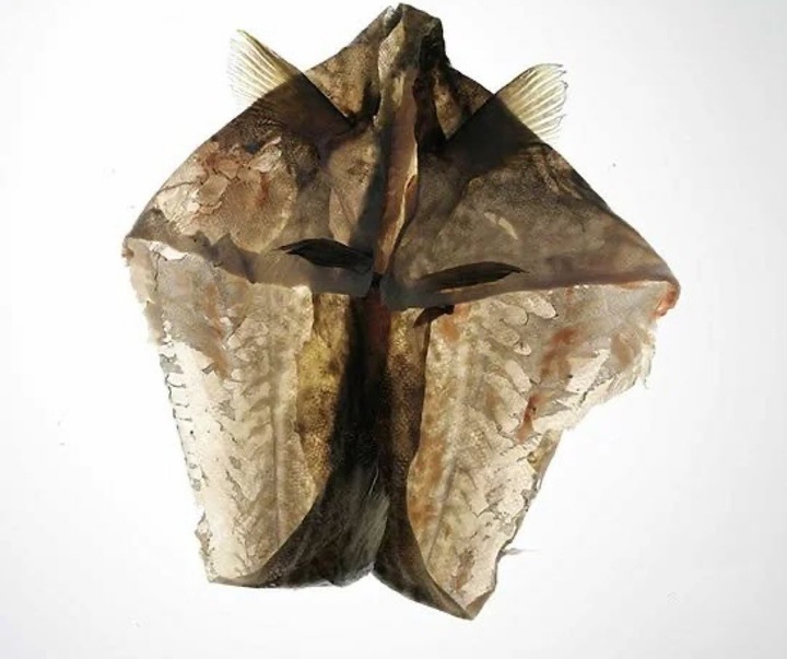 Gallery of Modern Art by Paul Voca - Poland