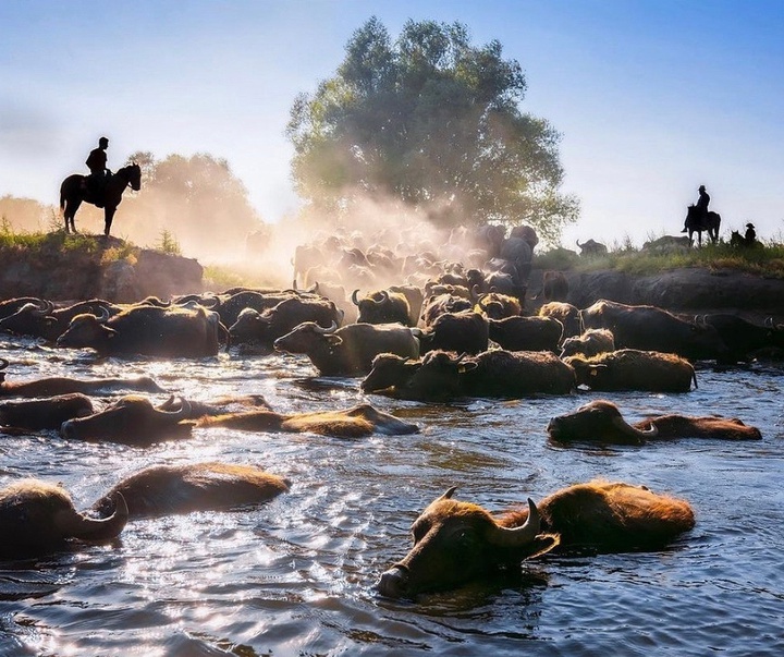 Gallery of Photography by F. Dilek Yurdakul - Turkey