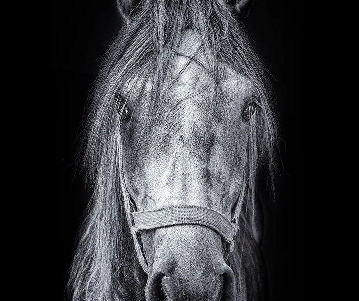 Gallery of Photos by Ahmet Muhtar Taskaya-Turkey