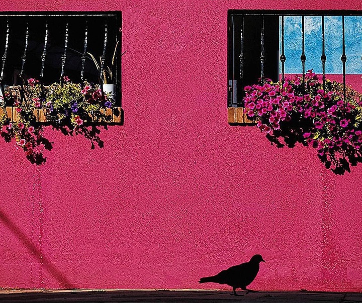 Gallery of Photography by Mirko Saviane - Italy