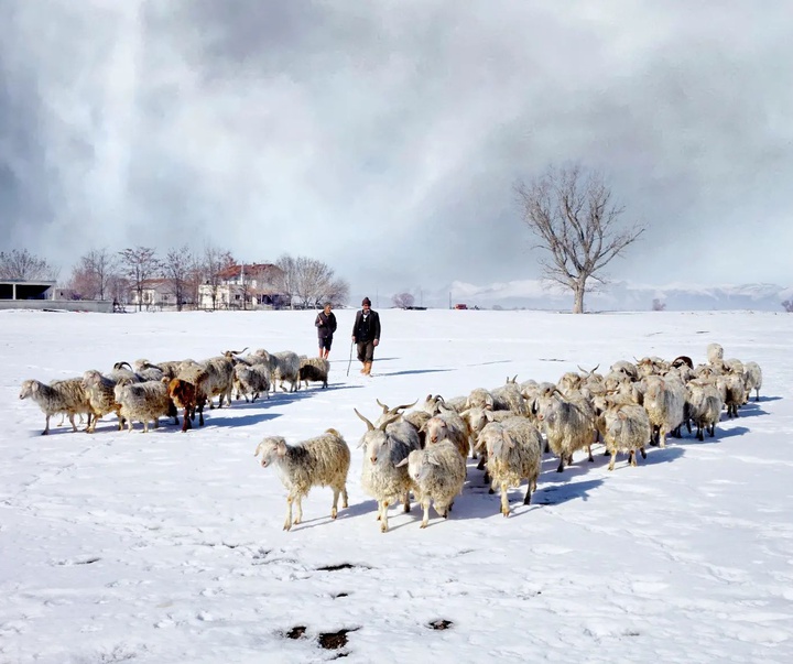 Gallery of photography by Mustafa Shahbaz - Turkey