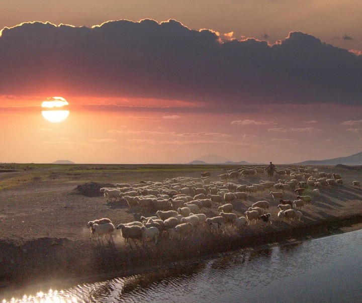 Gallery of photography by Mustafa Shahbaz - Turkey