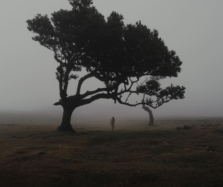 Gallery of photography by Rob Ash - England