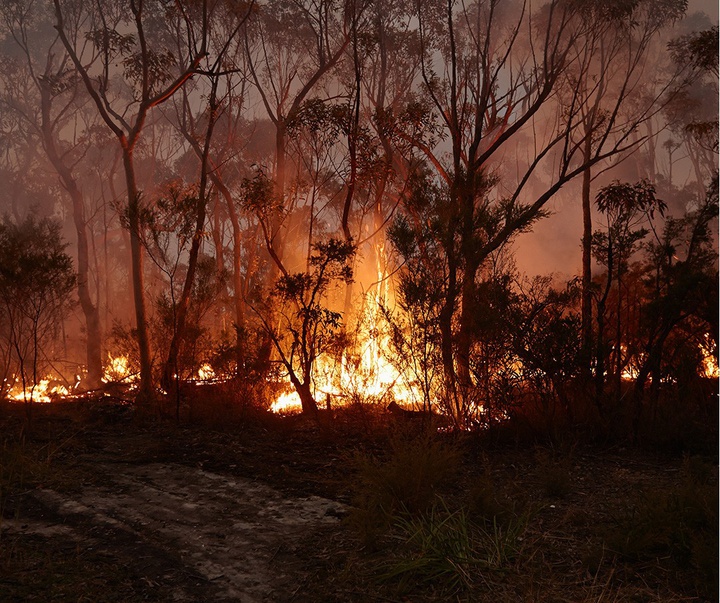 Gallery of Photography by Danny Eastwood - Australia