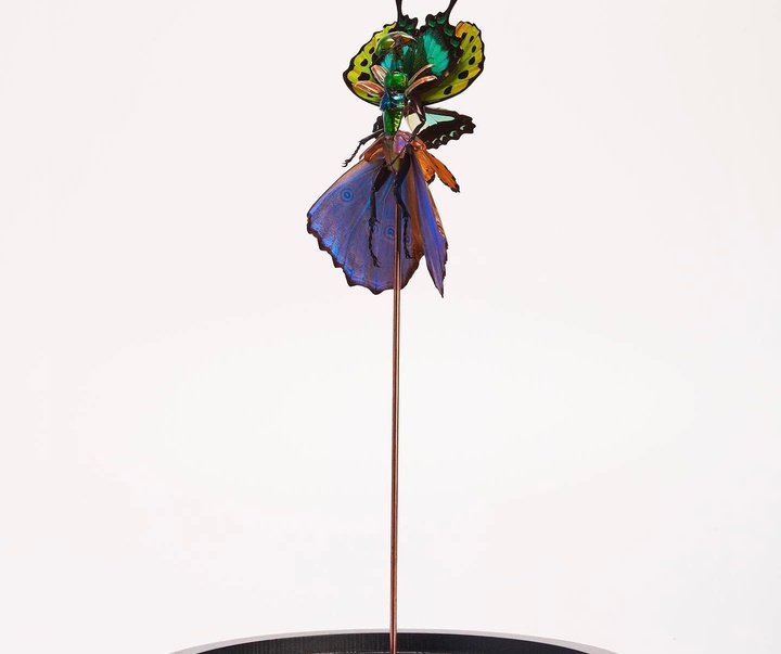Gallery of Sculpture by Cedric Laquieze - USA