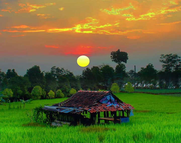 Gallery of Photos by Okka Supardan-Indonesia