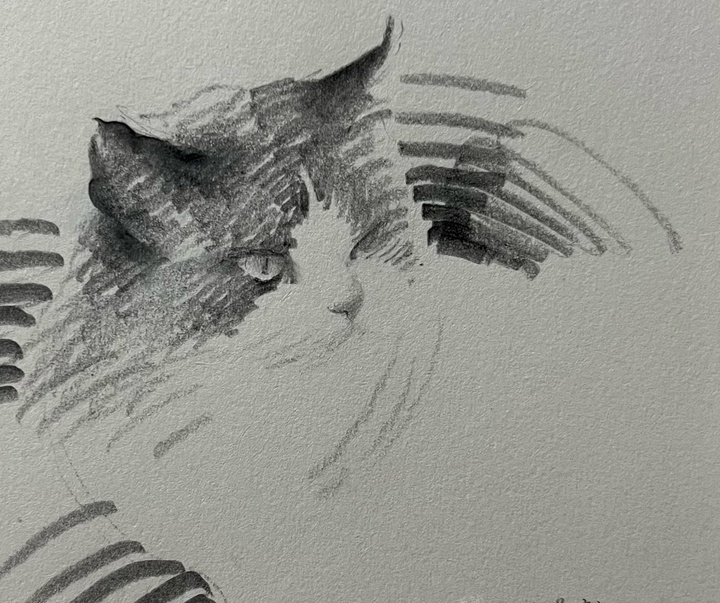 Gallery of Drawing by Shou Xin - China