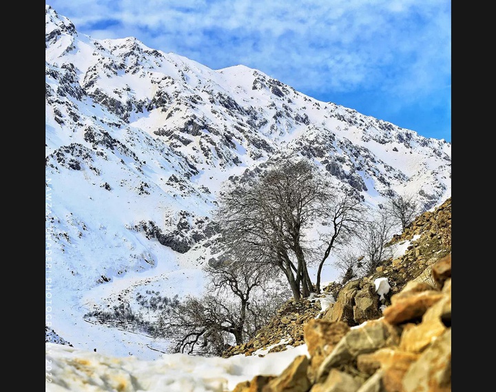 Gallery of photography by Nawzad Ghaderi - Iran