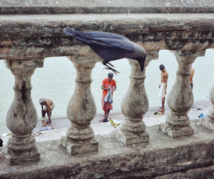 Gallery of Photography by Pranay Pariyar - India