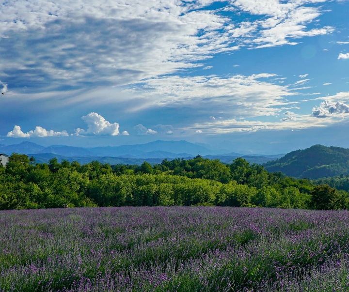 Gallery of Photography by Daniele Bello - Italy