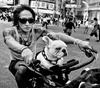 Gallery of Photography by Tatsuo Suzuki - Japan