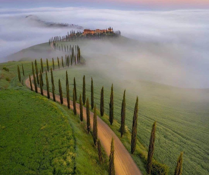 Gallery of the best Visual Arts in the World-13