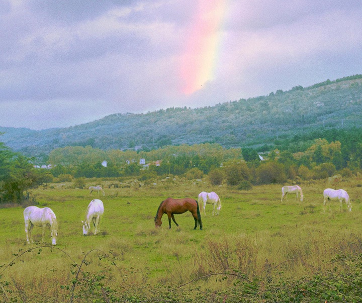 Gallery of Photography by Henri Prestes - Portugal