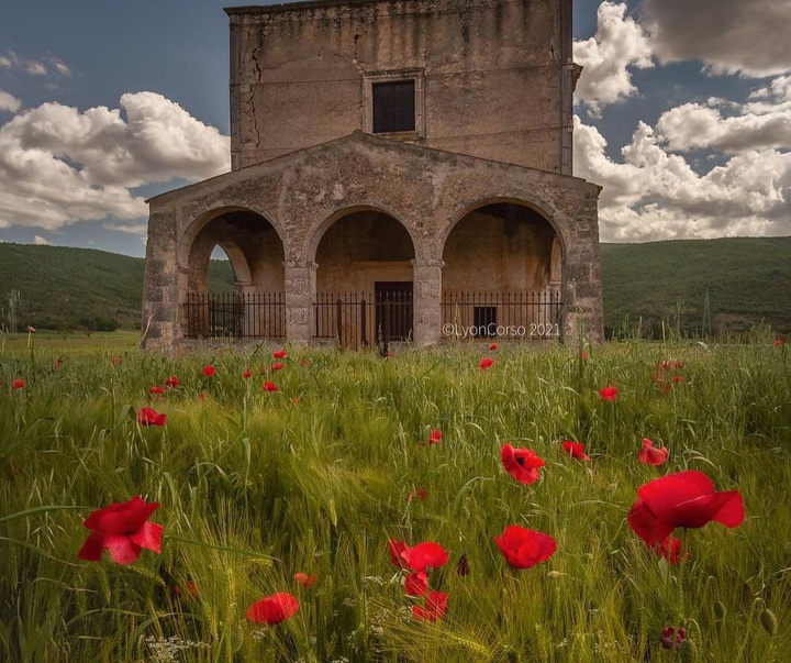 Gallery of Photography by Lyon Corso - Italy