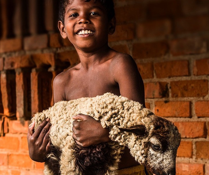 Gallery of Photography by Anjan Ghosh - India