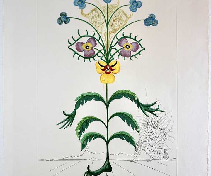 Gallery of Salvador Dali lithographs and metal engravings-Spain