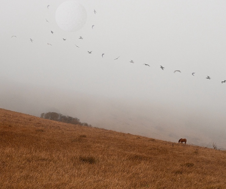 Gallery of Photography by Dasha Pears - Finland