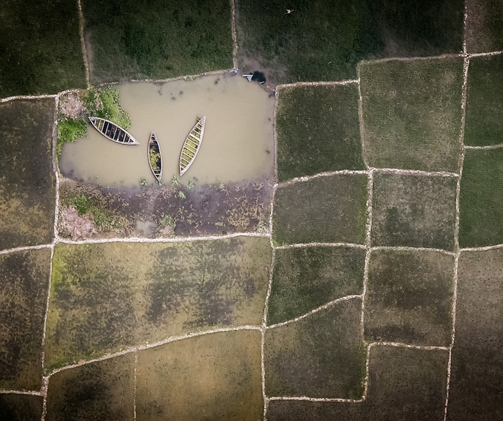 Gallery of Photography by Shamim Shorif Susom - Bangladesh