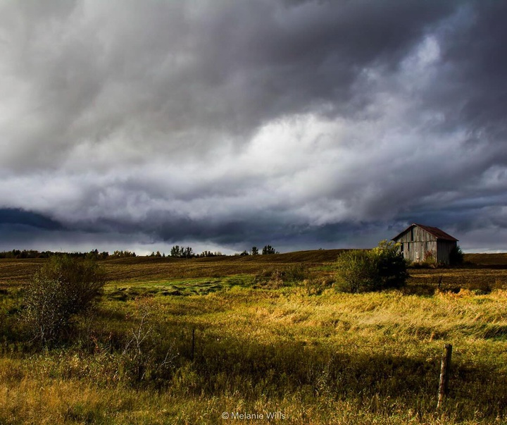 Gallery of Photography by Melanie Wills - Canada