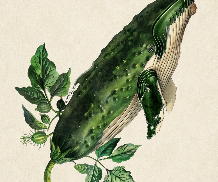 Gallery of Illustration by Beto Valencia - Ecuador
