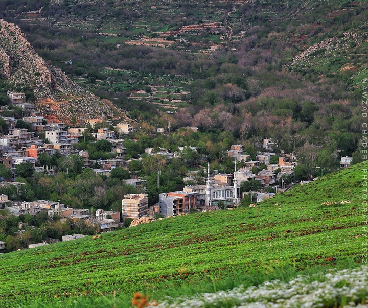 Gallery of photography by Nawzad Ghaderi - Iran