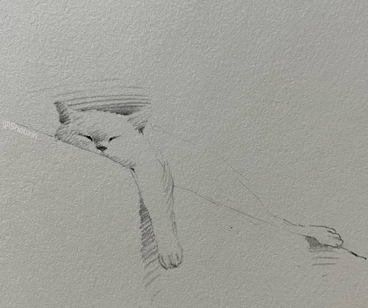 Gallery of Drawing by Shou Xin - China