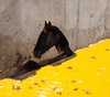 Gallery of Photography by Tavepong Pratoomwong - Thailand