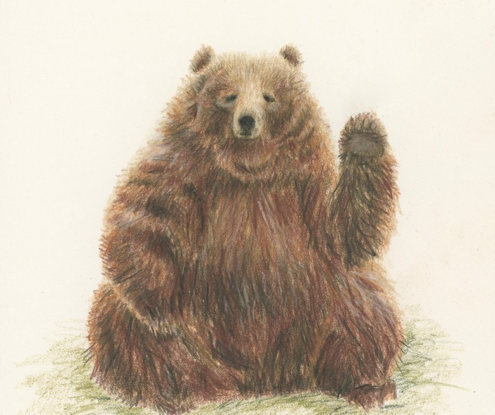 Gallery of Illustration by Kelli Flitton - USA