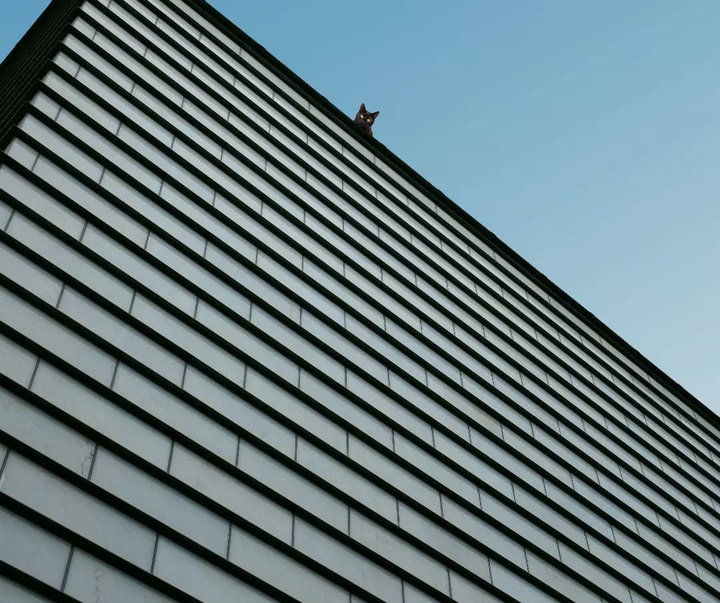 Gallery of Photography by Benjamin Wolf - USA