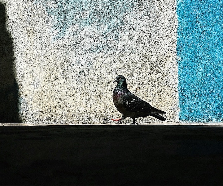 Gallery of Photography by Mirko Saviane - Italy