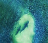 Gallery of Photography by Joanna Steidle - USA
