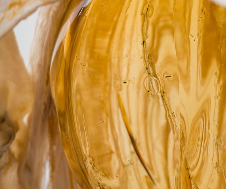 Gallery of Sculpture by Marguerite Humeau - France