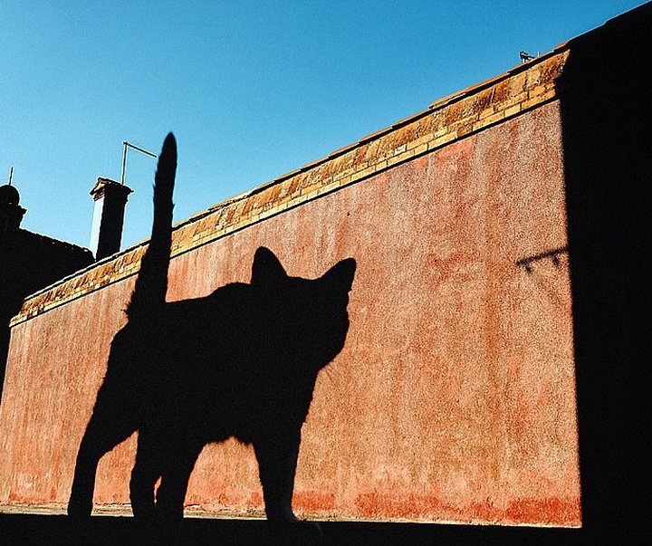Gallery of Photography by Mirko Saviane - Italy