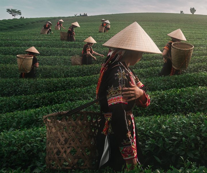 Gallery of Photography by Chris Ha - USA