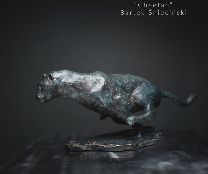 Gallery of Sculpture by Bartek Śnieciński - Poland